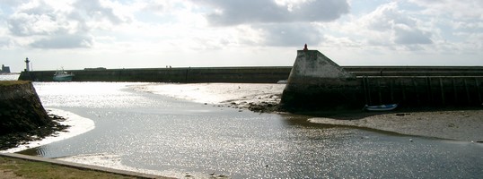 varen in Bretagne